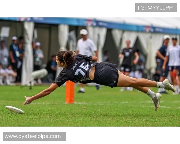 飞盘比赛经验排行榜揭晓北京飞盘队荣获第三名成就辉煌